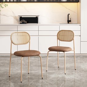 Set de 2 scaune de dining moderne din ratan cu cadru metalic, 56x52x27 cm, Maro