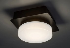 Plafoniera LED pentru baie design modern IP44 Attichus negru, alb