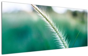 Tablou cu fir de iarbă (120x50 cm)