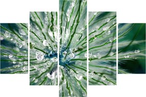 Tablou - Imagine macro a unei flori (150x105 cm)