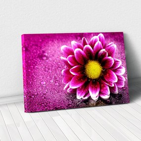 Tablou Canvas - Purple flower 40 x 65 cm