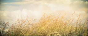 Tablou - Câmp toamna (120x50 cm)