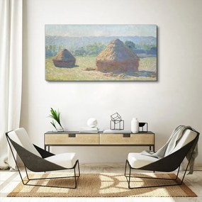 Tablou canvas Monede de fân de la sfârșitul verii