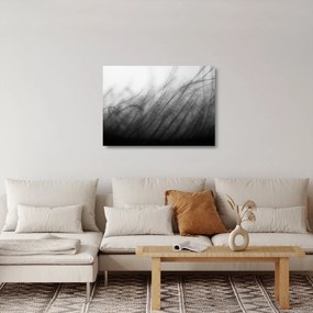 Tablou pe sticlă - Iarba în vânt (70x50 cm)