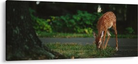 Tablou cu pui de cerb (120x50 cm)