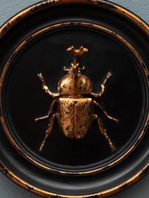 Decoratiune de perete din rasina, aspect vintage, Rhinoceros Beetle