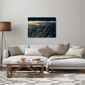 Tablou pe sticlă cu ierburi (70x50 cm)