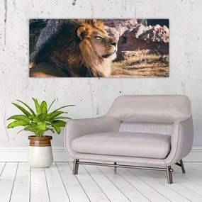 Tablou cu leul dormind (120x50 cm), în 40 de alte dimensiuni noi