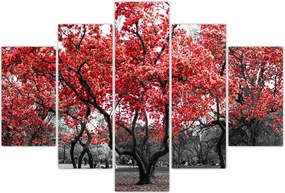 Tablou - Copacii roșii, Central Park, New York (150x105 cm)