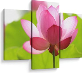 Tablou cu flori de lotus (90x60 cm)