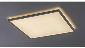 Rabalux 3430 - Plafonieră LED reglabilă PAVEL LED/22W/230V