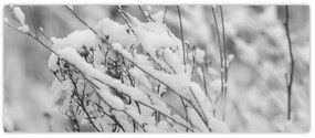 Tablou - Ramuri înzăpezite (120x50 cm)
