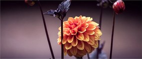 Tablou - Floare (120x50 cm)