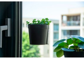 Ghivece 2 buc. din plastic suspendate și de perete ø 10 cm – Esschert Design