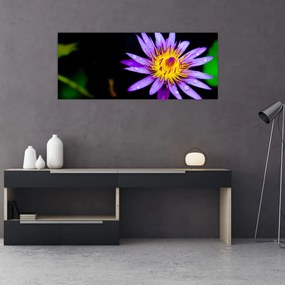 Tablou cu floare (120x50 cm), în 40 de alte dimensiuni noi