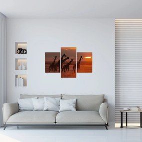 Tablou - Girafe în savana africană (90x60 cm)