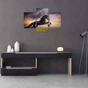 Tablou - Cai (90x60 cm)