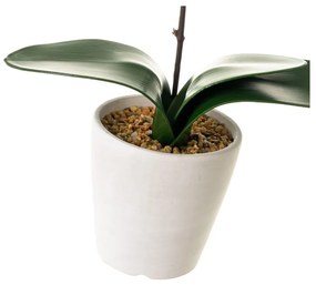 Plantă artificială (înălțime 45 cm) Orchid – Casa Selección