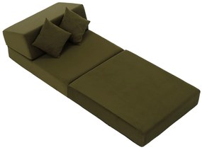 Fotoliu extensibil Plantearan (măslin) . 1116443