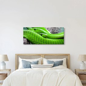 Tablou cu șerpi verzi (120x50 cm)