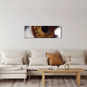 Tablou - Ochi (cu ceas) (90x30 cm)