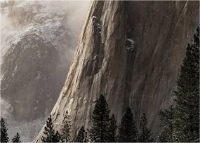 Tablou din valea Yosemite parcul național, SUA (70x50 cm)