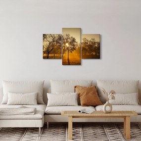 Tablou cu răsăsrit de soare (90x60 cm)