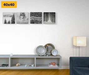 Set tablouri lupul în pădure misterioasă în design alb-negru
