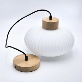 Lustră pe cablu HARMONY 1xE27/15W/230V d. 25 cm alb/stejar