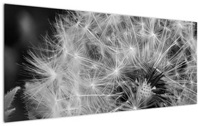 Tablou - mulțime de păpădii (120x50 cm)