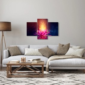 Tablou cu lotus pe apă (90x60 cm)