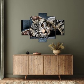 Tablou - Pisoi (150x105 cm)