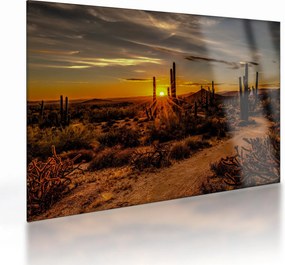Tablou pe sticlă - Sfărșit de zi în deșertul Arizona (70x50 cm)