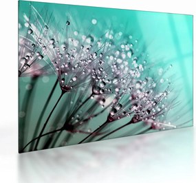 Tablou pe sticlă - planta cu rouă (70x50 cm)