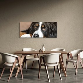 Tablou cu câine (120x50 cm)