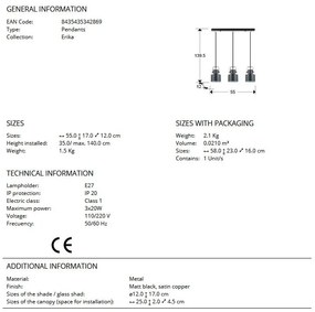 Lustra suspendata metal design decorativ Erika 3L