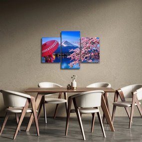 Tablou - cu privire la munte - Japonia (90x60 cm)
