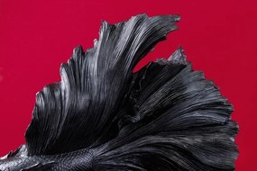 Statueta decorativa extravaganta Fisch Crowntail 65cm, negru