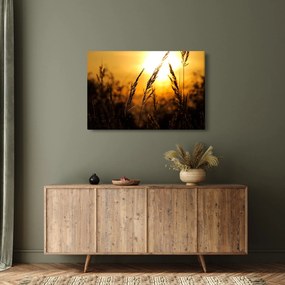 Tablou - Apus de soare (90x60 cm)