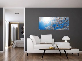 Tablou - Flori de cireș (120x50 cm)