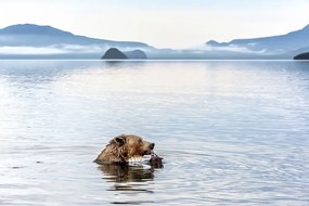 Fotografie Kurile Lake, Giuseppe DAmico