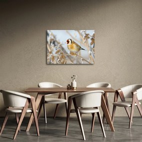 Tablou - Ciredeaua (70x50 cm)