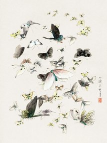 Reproducere Butterflies & Moths (2 of 2) - Katsushika Hokusai, (30 x 40 cm)
