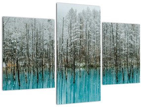 Tablou - Pescărie turcoaz, Biei, Japonia (90x60 cm)