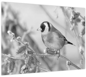 Tablou - O pasăre în timpul iernii (70x50 cm)