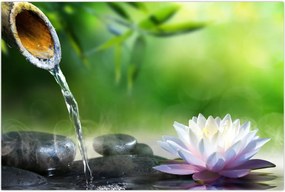 Tablou - Lotus (90x60 cm)