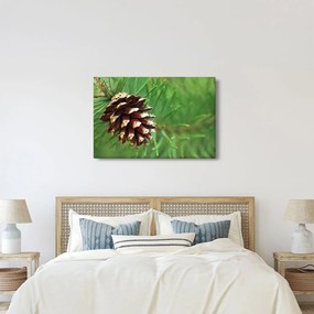 Tablou cu con (90x60 cm)