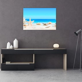 Tablou - Natura morta cu scoici (90x60 cm)