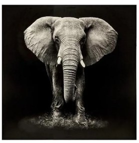Tablou canvas Elefant Black, 100x100 cm