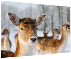 Tablou - Cerbi (90x60 cm)